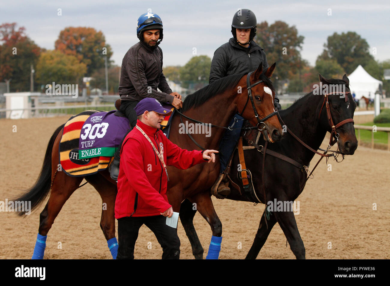 Louisville, KY, USA. 30 Okt, 2018. Oktober 30, 2018: Aktivieren (GB) von John gosden Züge in der Vorbereitung für das Longines Rasen am 30. Oktober 2018 in Louisville, KY ausgebildet. Candice Chavez/ESW/CSM/Alamy leben Nachrichten Stockfoto