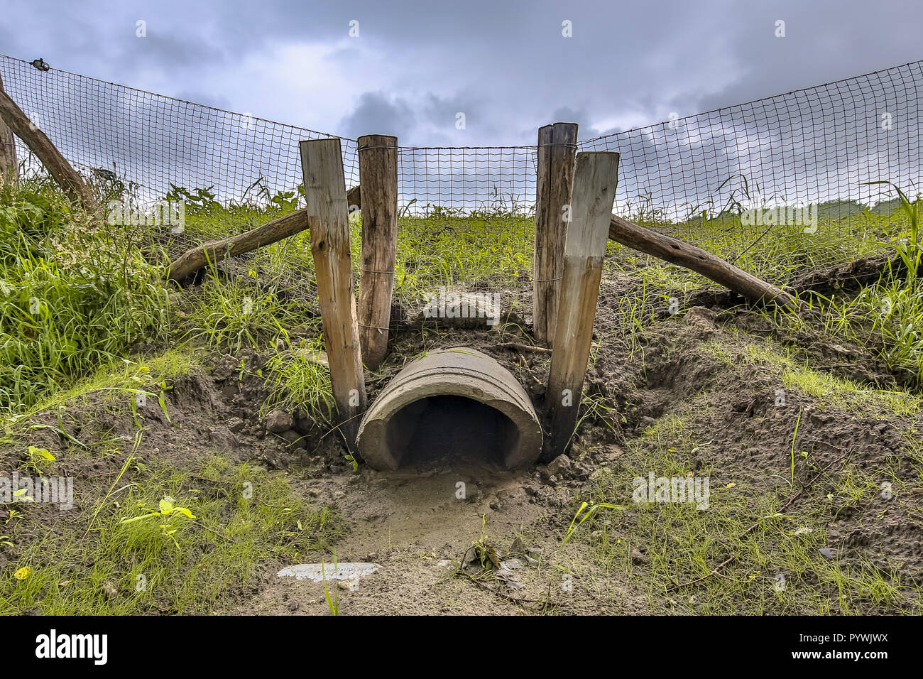 Wildlife Kreuzung Kanal Rohr Unterführung für Tiere unter der Autobahn in den Niederlanden Stockfoto