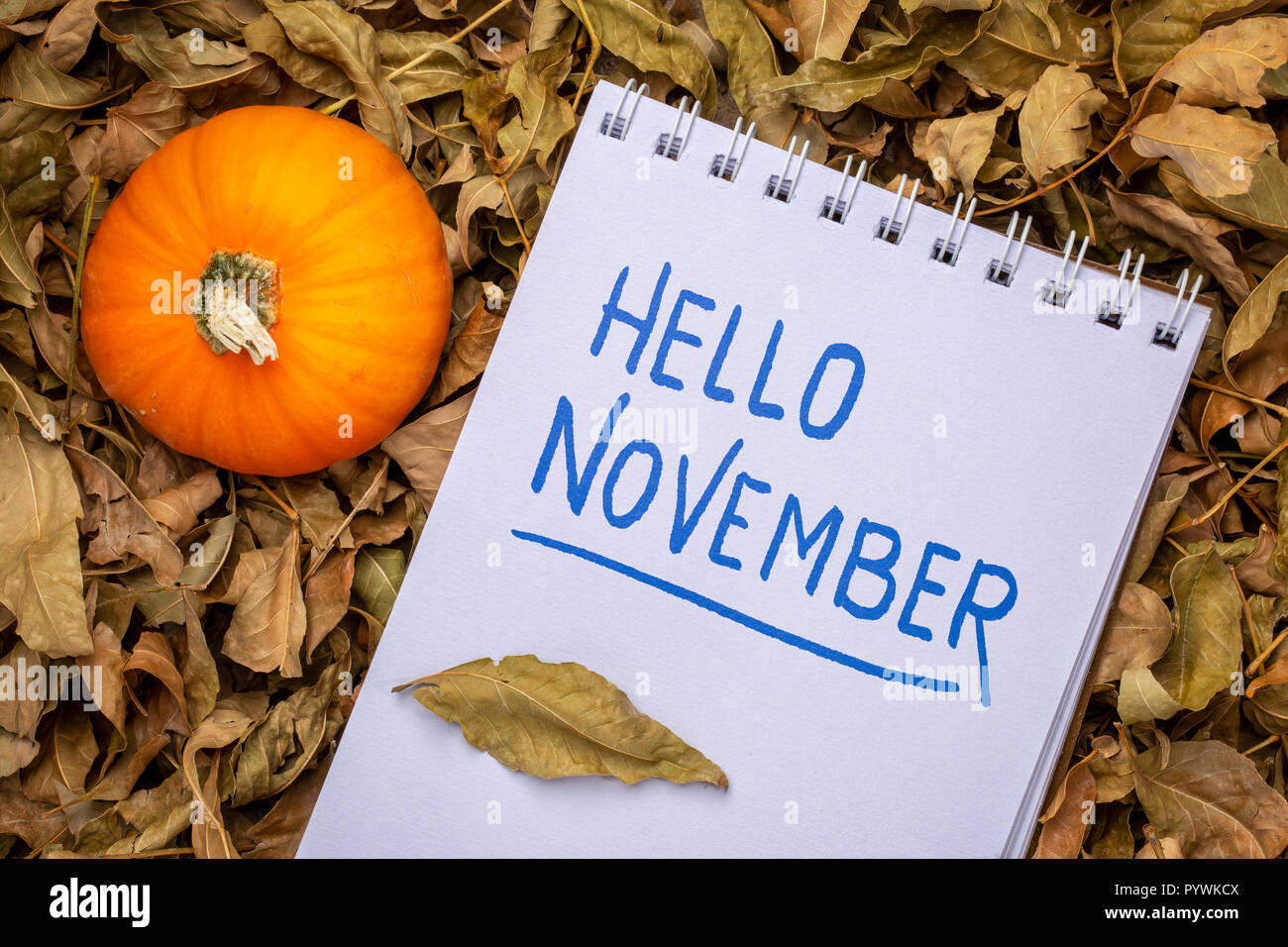 Hallo November Handschrift in eine Art Skizzenbuch mit Kürbis Kürbisse gegen trockene Blätter Stockfoto