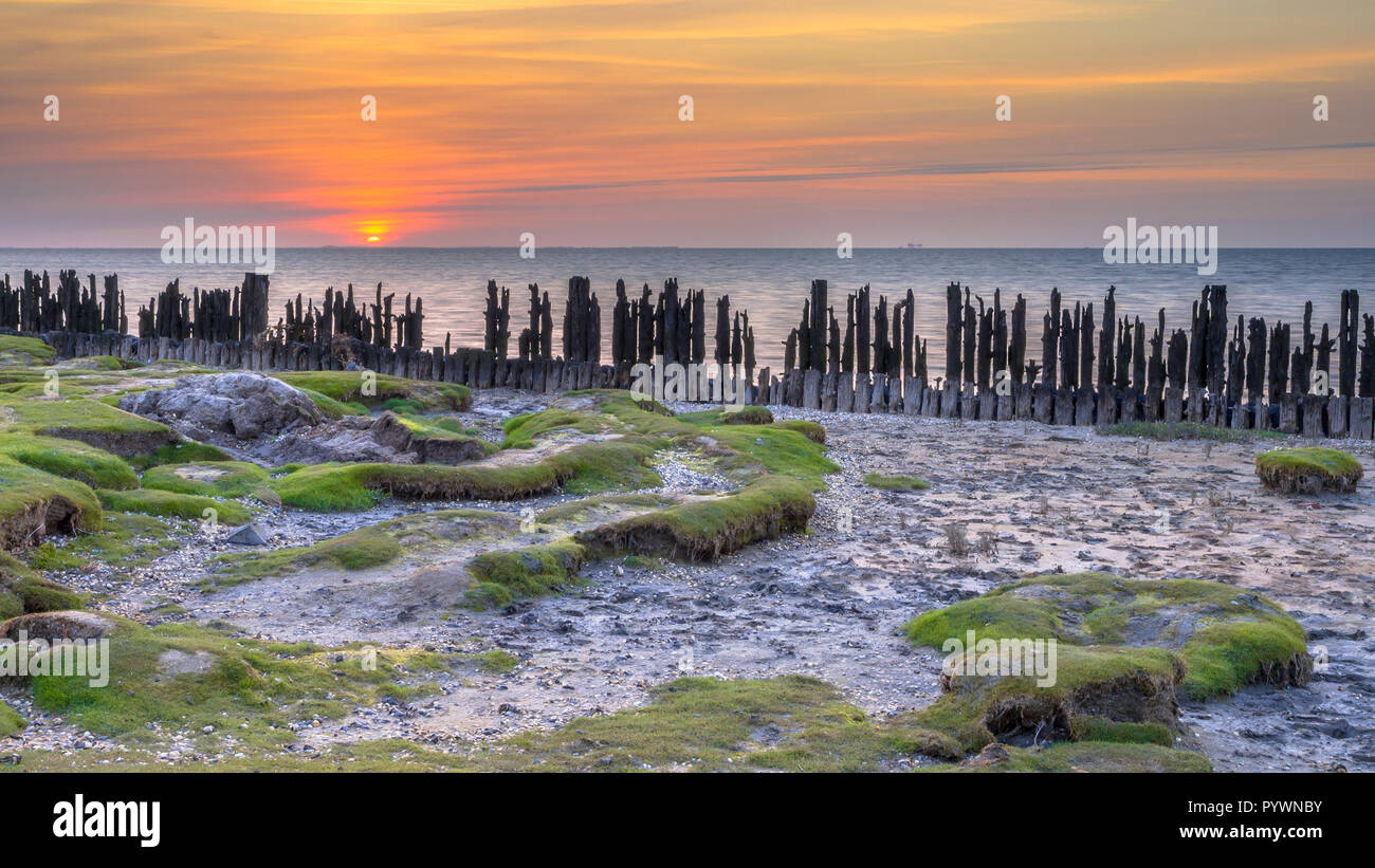 Gezeiten Salzwiesen im Natura 2000-Gebiet Wattenmeer an der Küste bei Peassens 2.2Km Stockfoto