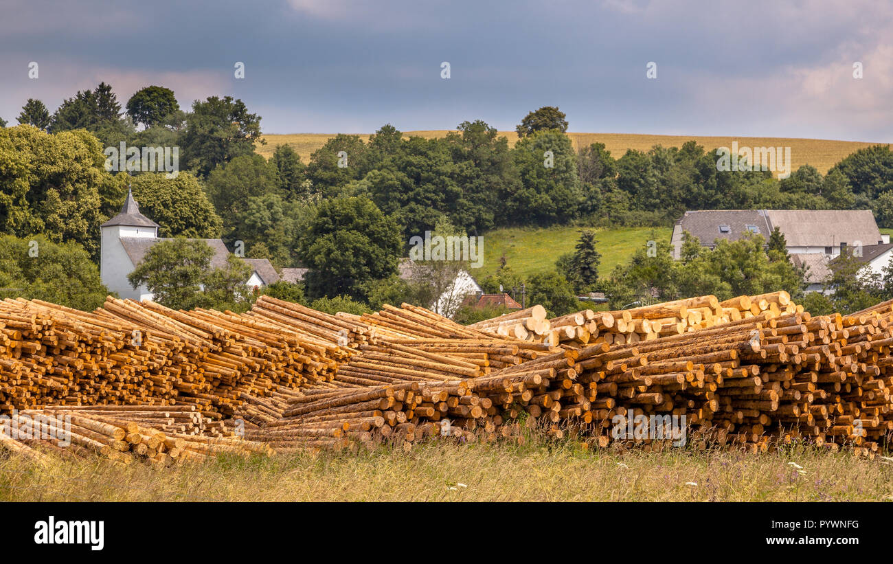 Stapel von Tree Protokolle an einem Holzplatz in einem ländlichen Dorf in der Eifel, Deutschland Stockfoto
