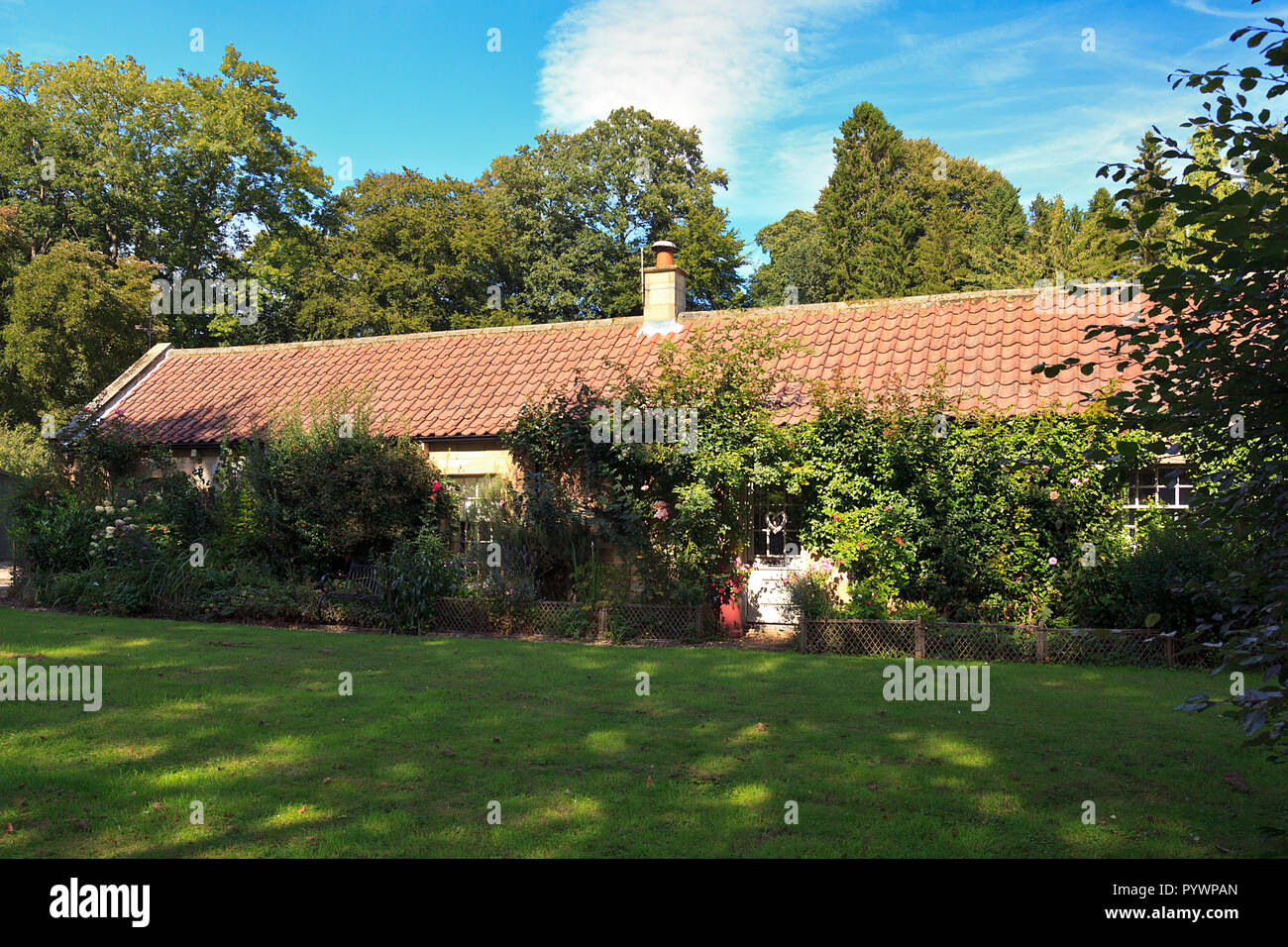 Bungalow diskret hinter Büschen in Egton Bridge Dorf auf der North Yorkshire Moors UK ausgeblendet Stockfoto