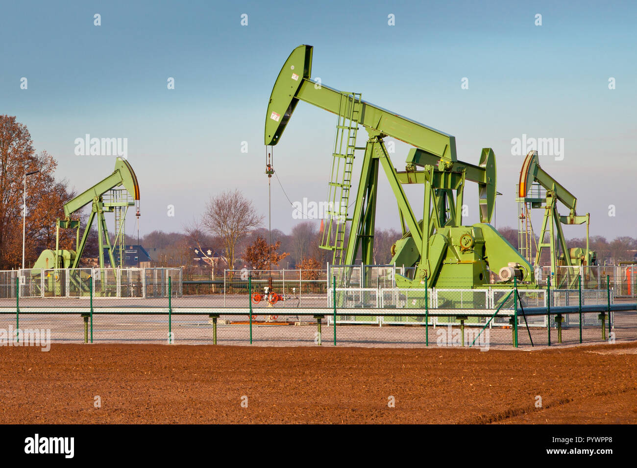 Gruppe der Europäischen Ölpumpe Buchsen in Deutschland an einem sonnigen Tag Stockfoto