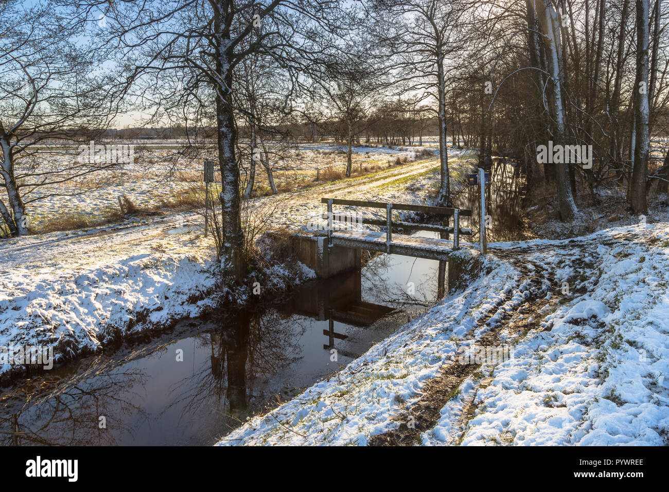 Holländische Winterlandschaft mit leichter Schnee und Wanderwege Kreuzung Brücke um Weihnachten im Dezember Stockfoto