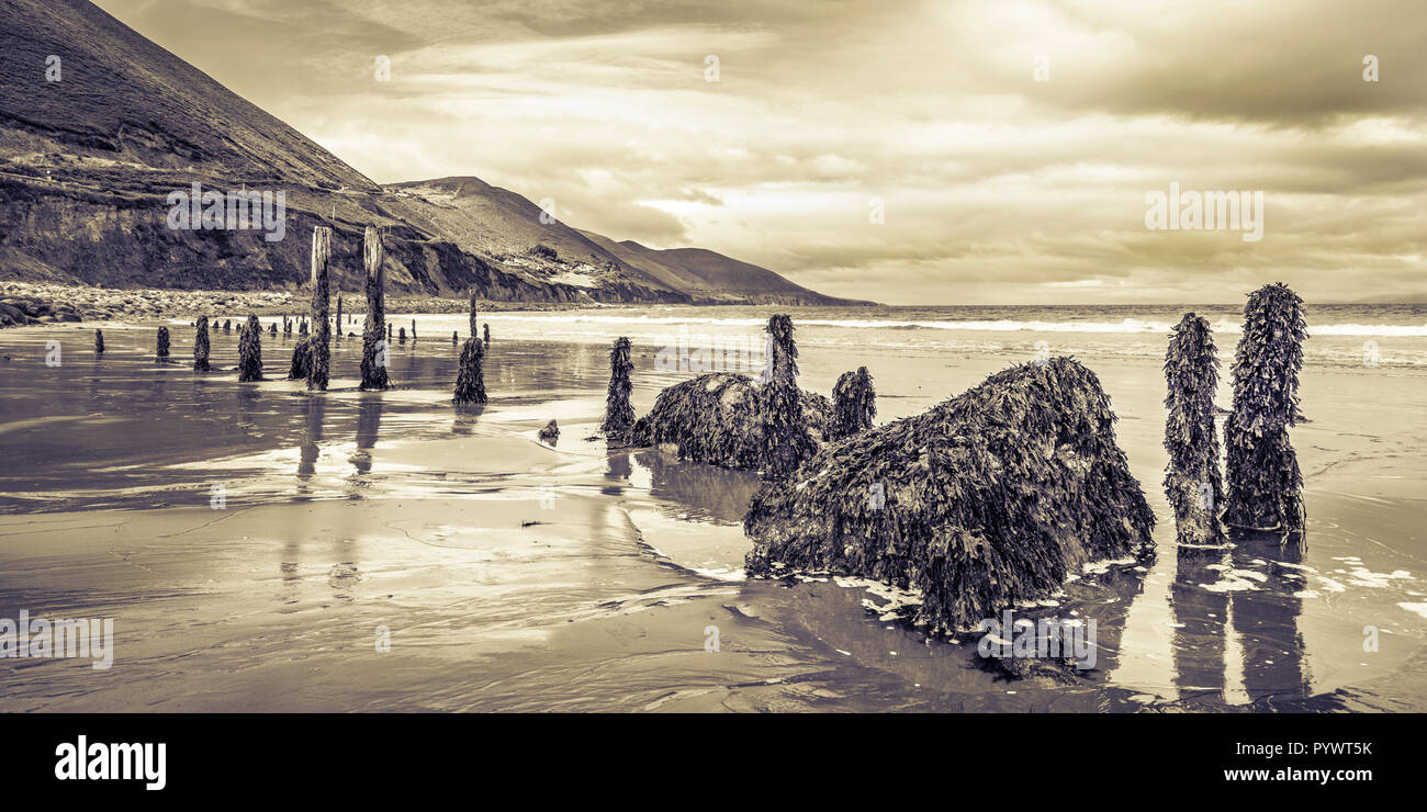 Blick auf den Ring of Kerry Rossbeigh, Irland, Europa Stockfoto