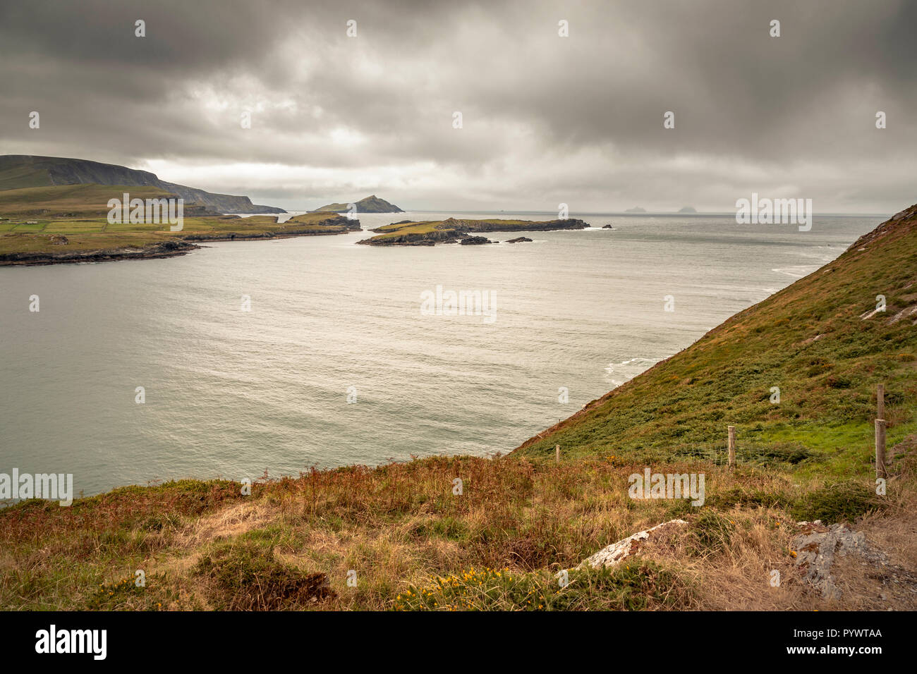 Blick auf den Ring of Kerry Valentia Island, Irland, Europa Stockfoto