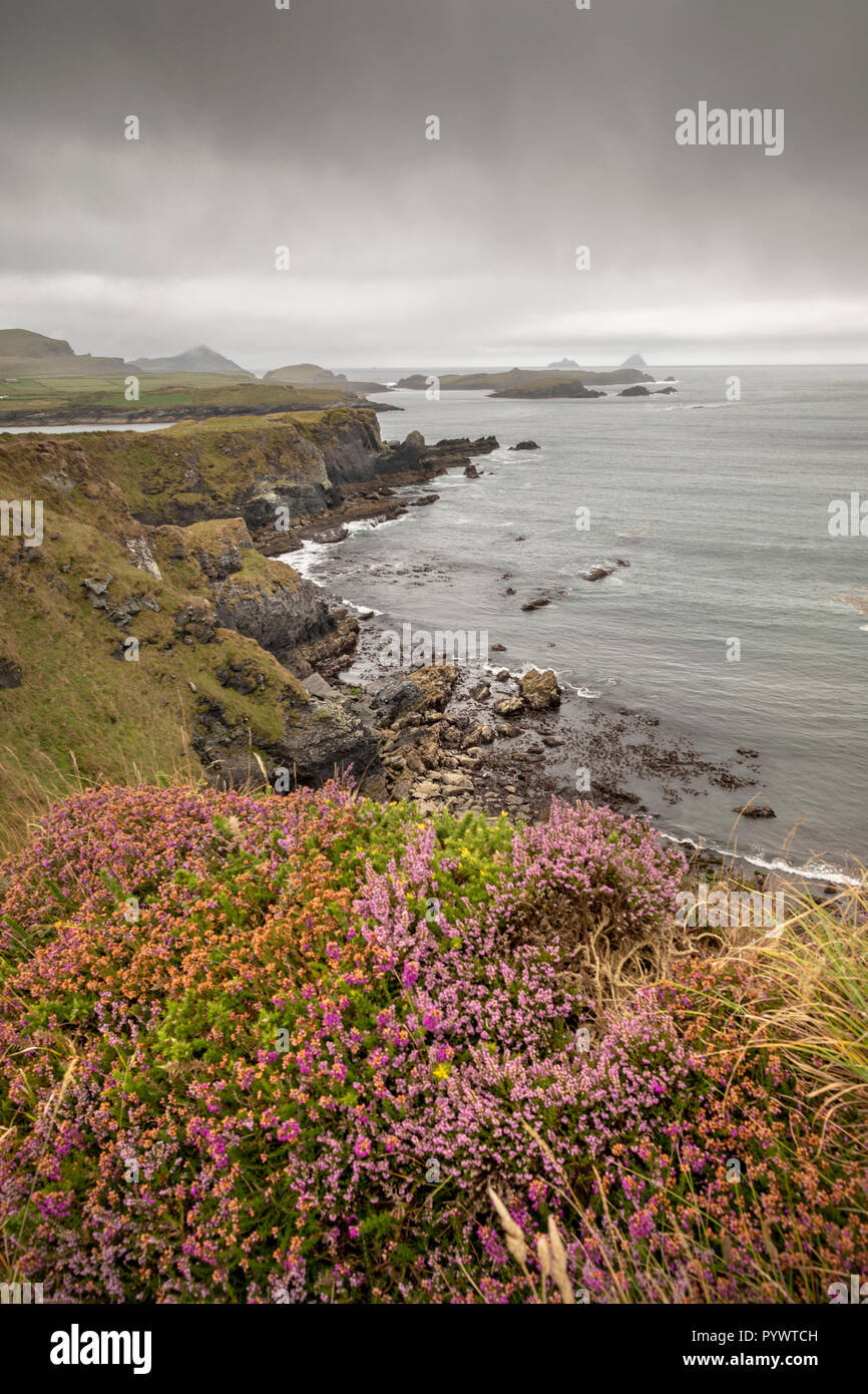 Blick auf den Ring of Kerry Valentia Island, Irland, Europa Stockfoto