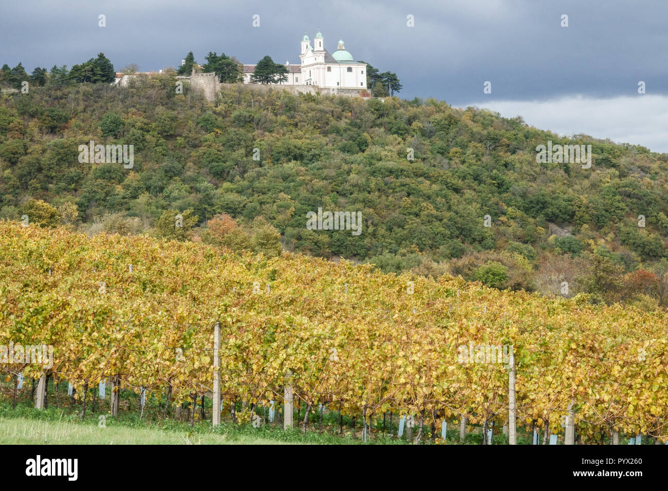 Das Weingut unterhalb des Leopoldsbergs bei Wien, Österreich Stockfoto