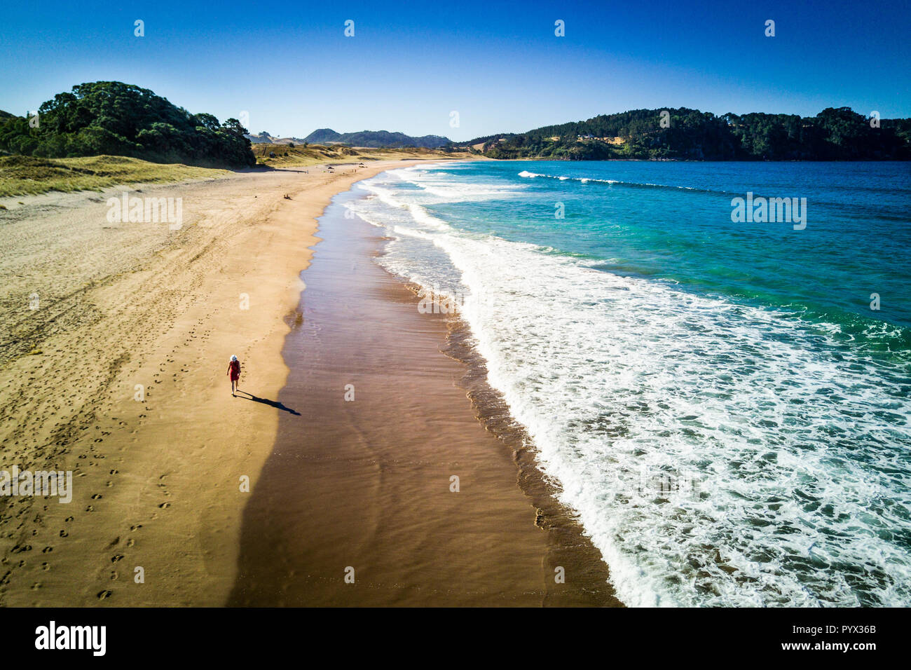 Luftbild des Hot Water Beach in Coromandel Halbinsel, Neuseeland Stockfoto
