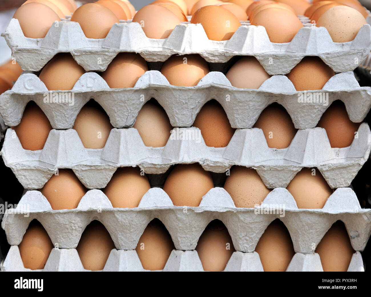 Frische Eier im Karton im Supermarkt Stockfoto