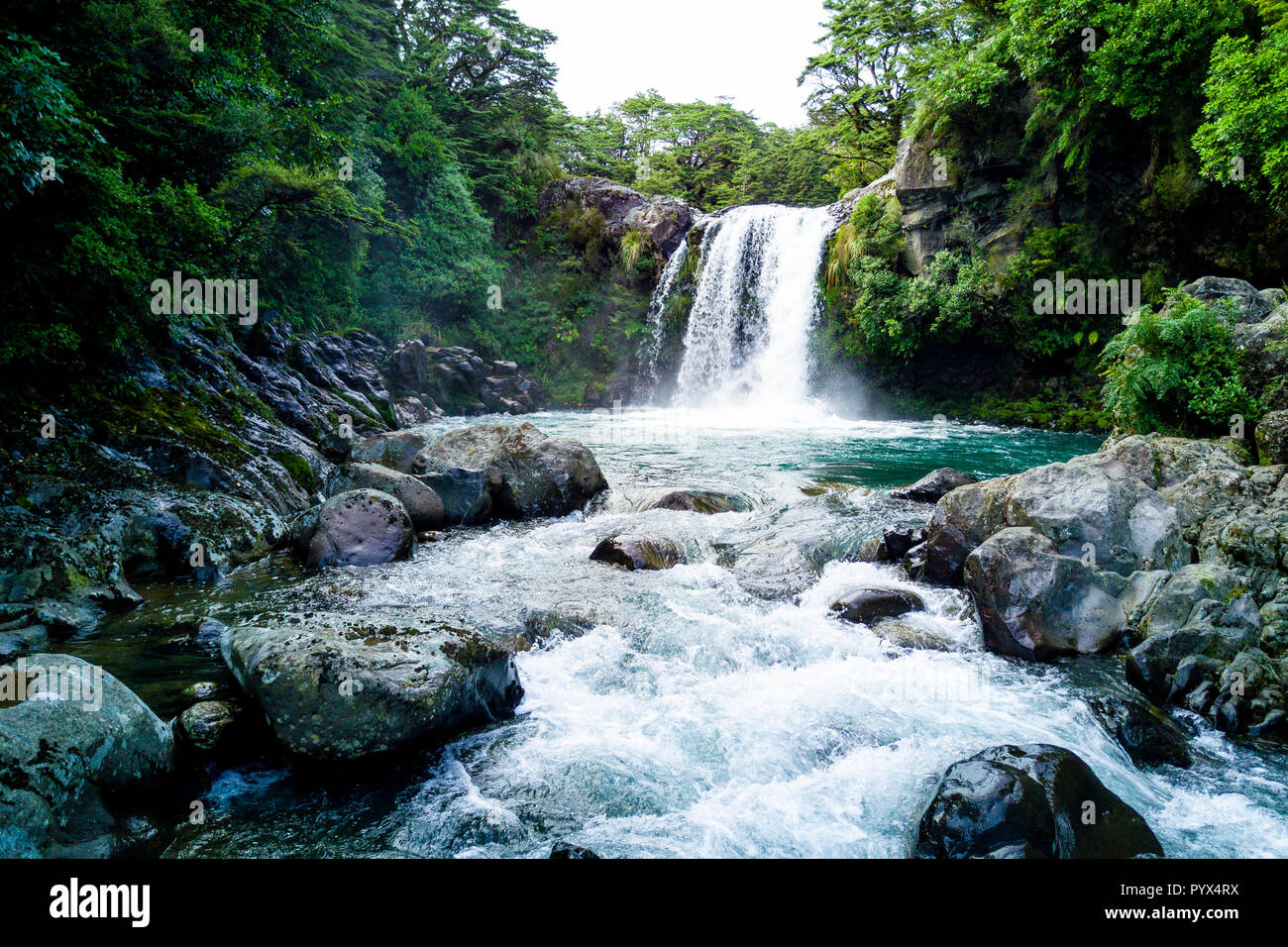 Blick auf den Tawhai fällt im Tongariro Nationalpark in Neuseeland Stockfoto
