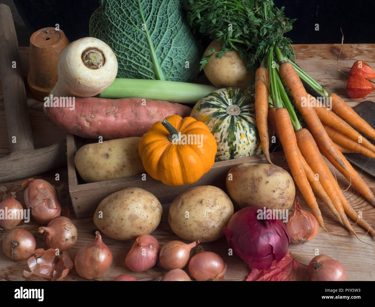 Home Gemüse in Gartenhaus Vergussmasse Stockfoto