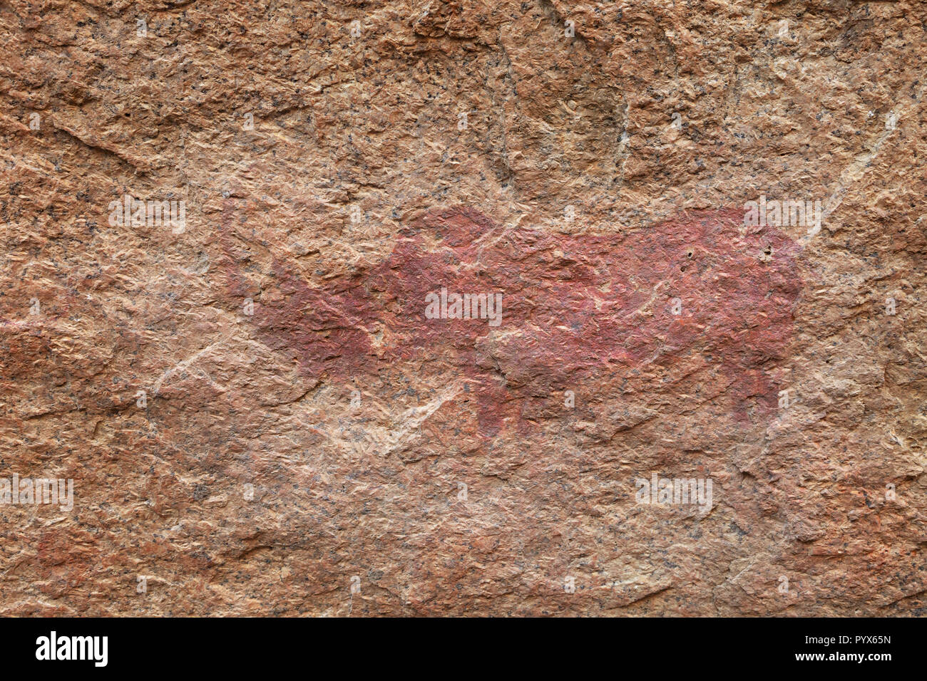 Namibia rock Malerei - alte Felsen Kunst von buschmännern zeigt ein Rhino, über 2000 Jahre alt; kleine Buschmann Paradies, Spitzkoppe, Namibia Afrika Stockfoto