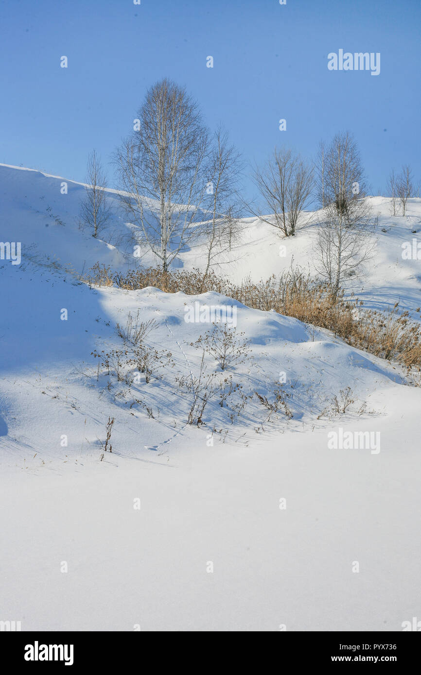 Schöne Winterlandschaft mit Birke auf dem Hügel Stockfoto