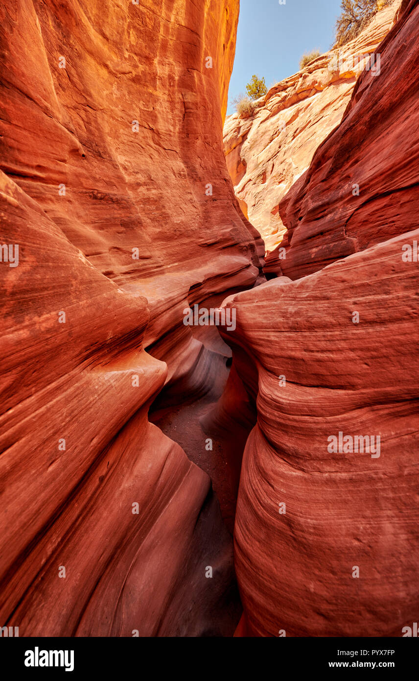 Peekaboo Slot Canyon, Grand Staircase-Escalante National Monument, Utah, USA, Nordamerika Stockfoto