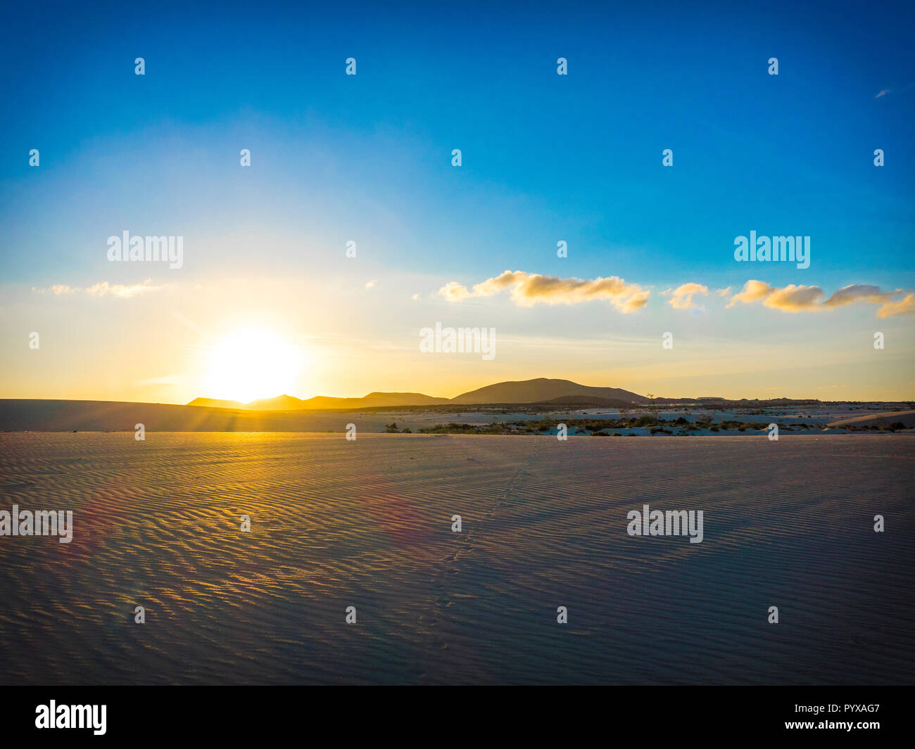 Sonnenuntergang im Park, Corralejo, Fuerteventura, Canary-Islands, Spanien. Stockfoto