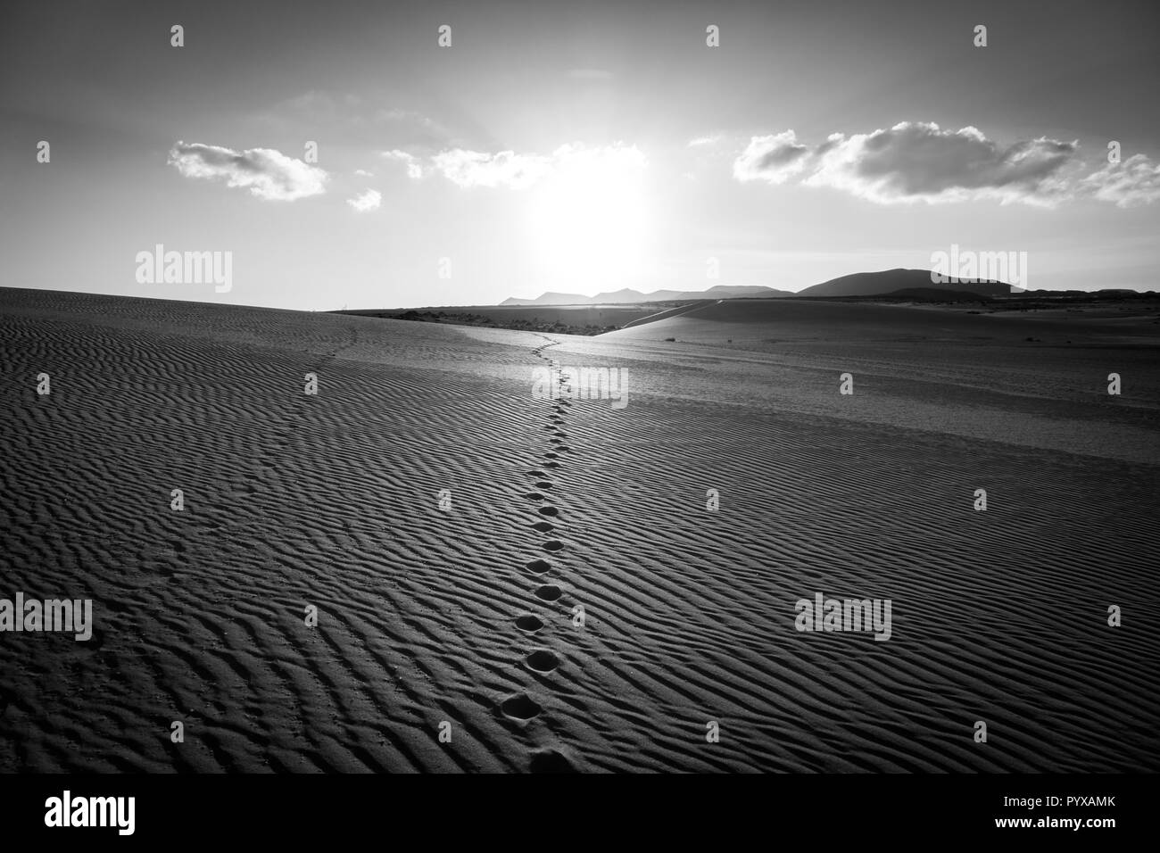 Sonnenuntergang im Parke Natürliche, Corralejo, Fuerteventura, Canary-Islands, Spanien. Stockfoto
