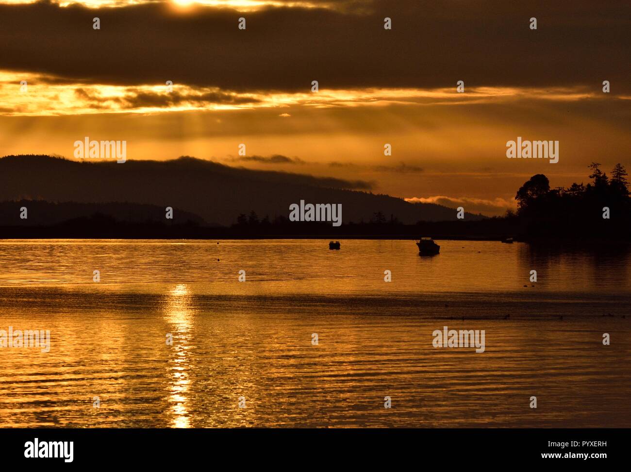 Ein goldener Sonnenaufgang über Southern Vancouver Island. Stockfoto