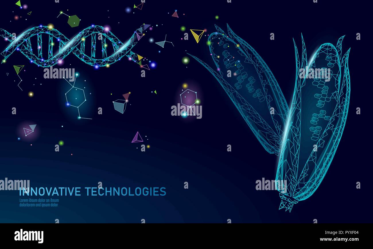 Gvo-Mais genetisch veränderter Pflanzen. Wissenschaft Chemie Biologie Genetik engineering Innovation organische Eco food technology 3D-Render geometrischen Hintergrund Vorlage. banner Vector Illustration Stock Vektor
