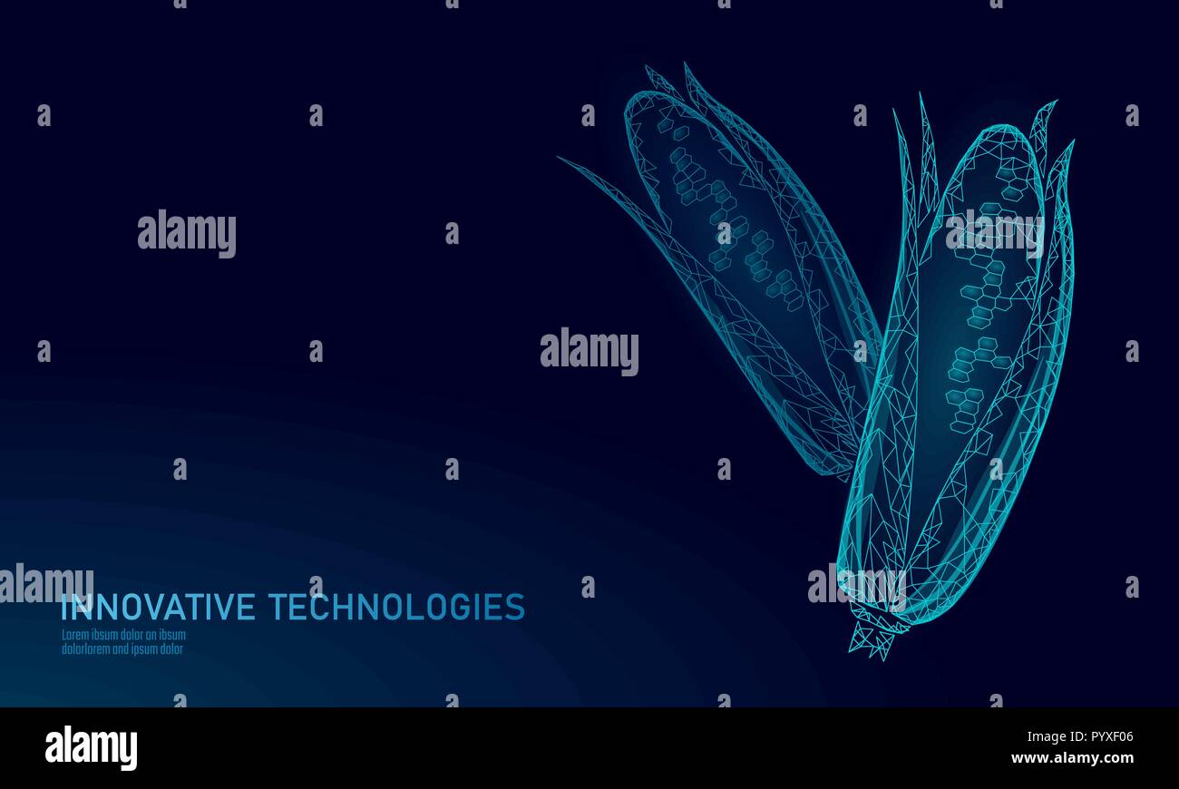 Gvo-Mais genetisch veränderter Pflanzen. Wissenschaft Chemie Biologie Genetik engineering Innovation organische Eco food technology 3D-Render geometrischen Hintergrund Vorlage. banner Vector Illustration Stock Vektor