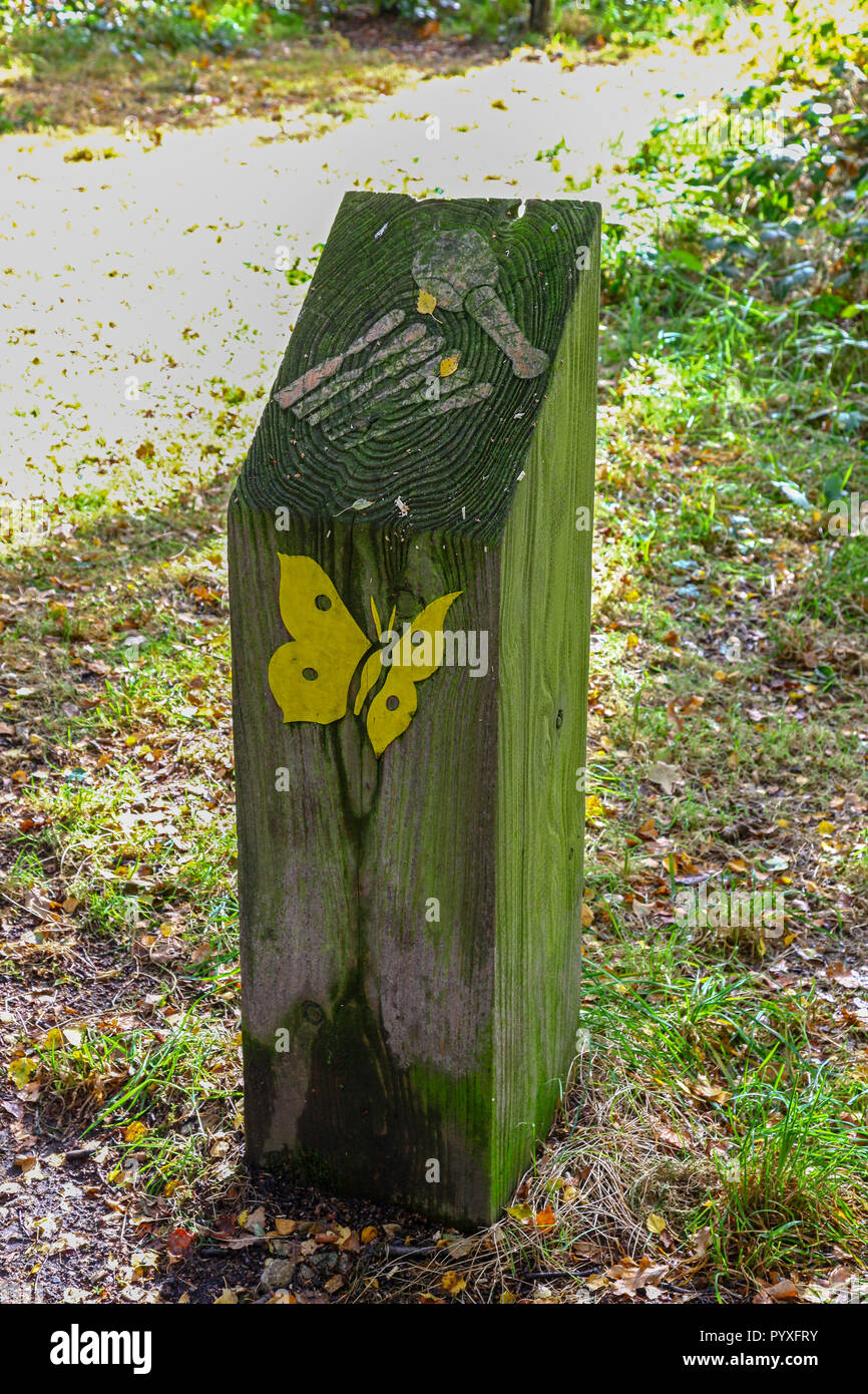 Eine hölzerne Marker Post mit einer Schnitzerei eines gelben Schmetterling, Marbury Country Park, Teil des Mersey Forest, Cheshire, England, Großbritannien Stockfoto