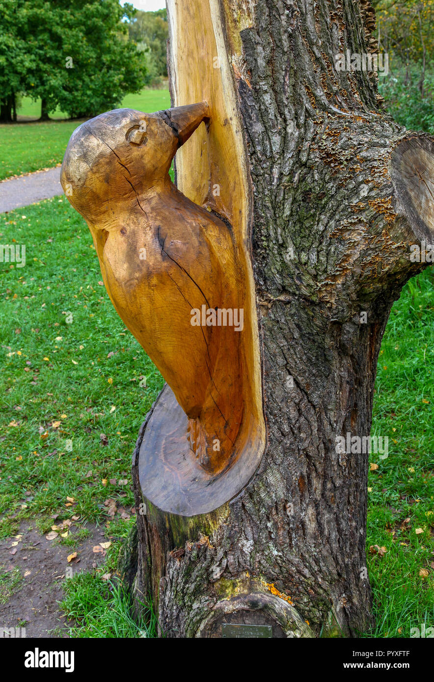 Eine aus Holz geschnitzte Specht in Marbury Country Park, Teil des Mersey Forest, Cheshire, England, Großbritannien Stockfoto