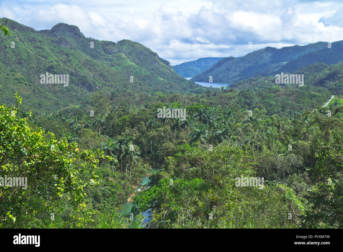 Kuba, Havanna, La Habana, Karibik, die Perle der alten Autos der Antillen", Straßen und schönen Stränden. Stockfoto