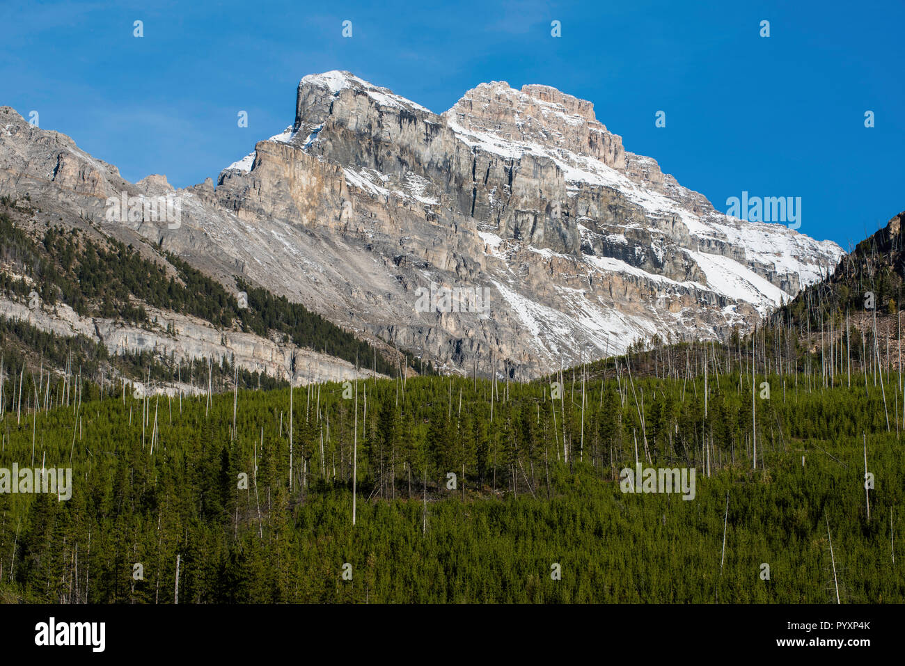 Kanadische Rockies, Kootenay NP, British Columbia, Kanada, von Bruce Montagne/Dembinsky Foto Assoc Stockfoto