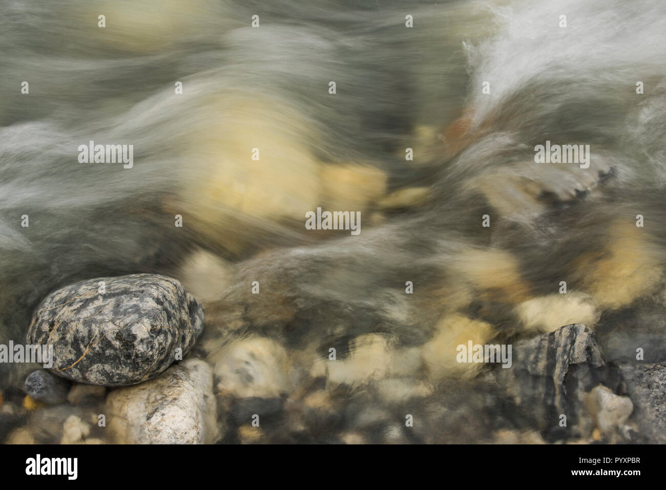 Kopfsteinpflaster im Stream, Yoho NP, British Columbia, Kanada, von Bruce Montagne/Dembinsky Foto Assoc Stockfoto