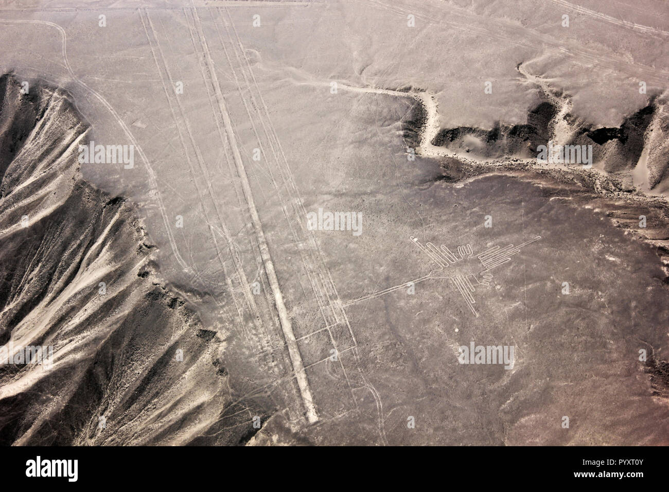 Nazca Linien Hummingbird Nazca Wüste die Nazca-linien sind antike Geoglyphen in der Nazca Wüste im südlichen Peru. Stockfoto