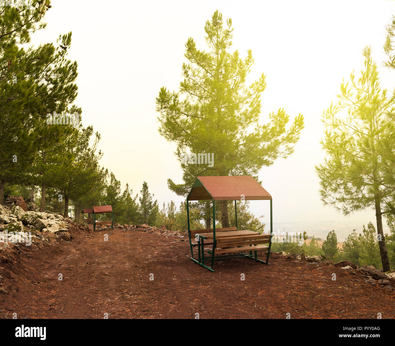 Wald Landschaft mit Holzmöbeln für ein Picknick an der frischen Luft Stockfoto