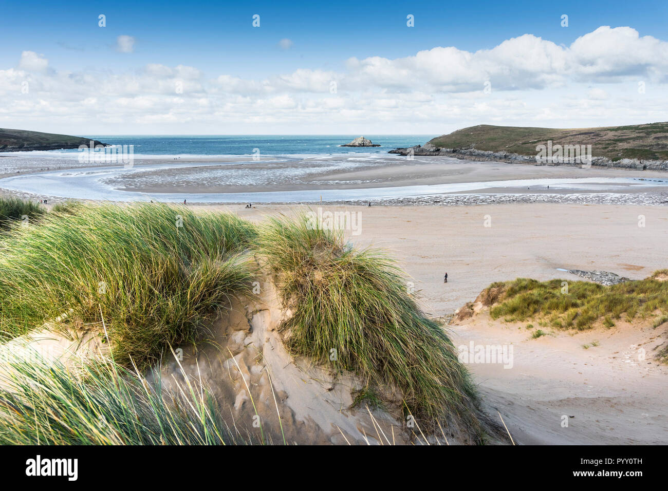 Ammophila marram Gras wachsen auf dem Sand dune-System mit Blick auf Crantock Beach in Newquay in Cornwall. Stockfoto
