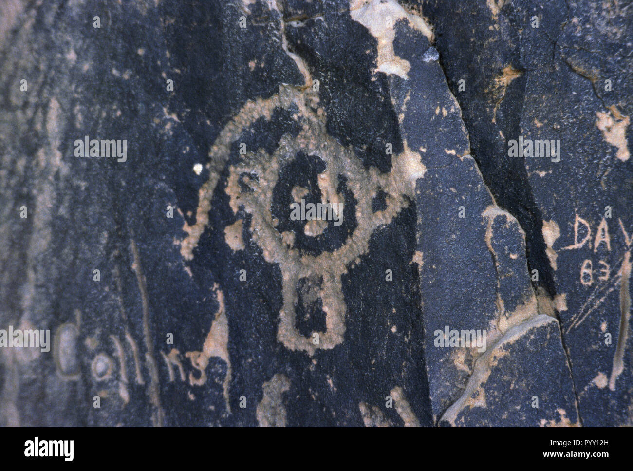 Native American Petroglyph, Black Hills, South Dakota. Foto Stockfoto