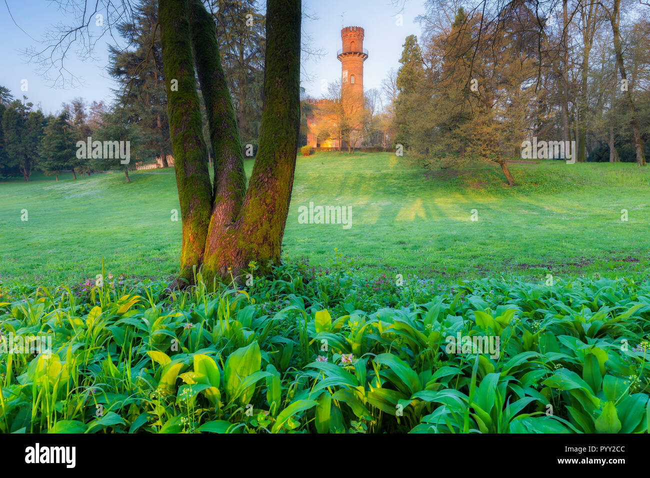 Sonnenaufgang im viscount Turm im Park der Villla Reale, Monza, Provinz Monza Brianza, Lombardei, Italien, Europa. Stockfoto