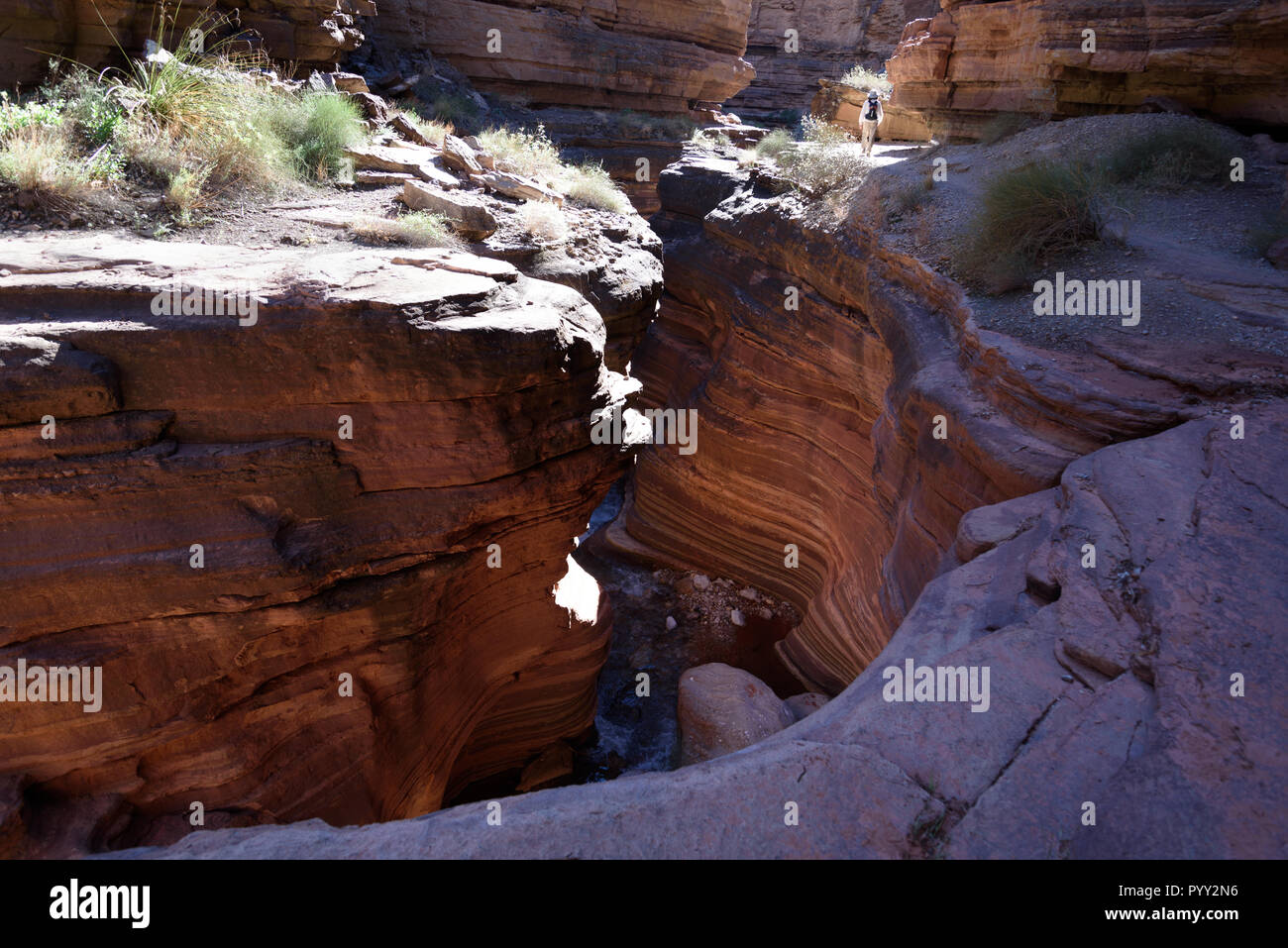 Wanderer im Deer Creek Canyon, einem Canyon am Grand Canyon, Grand Canyon National Park, Arizona, USA. Stockfoto