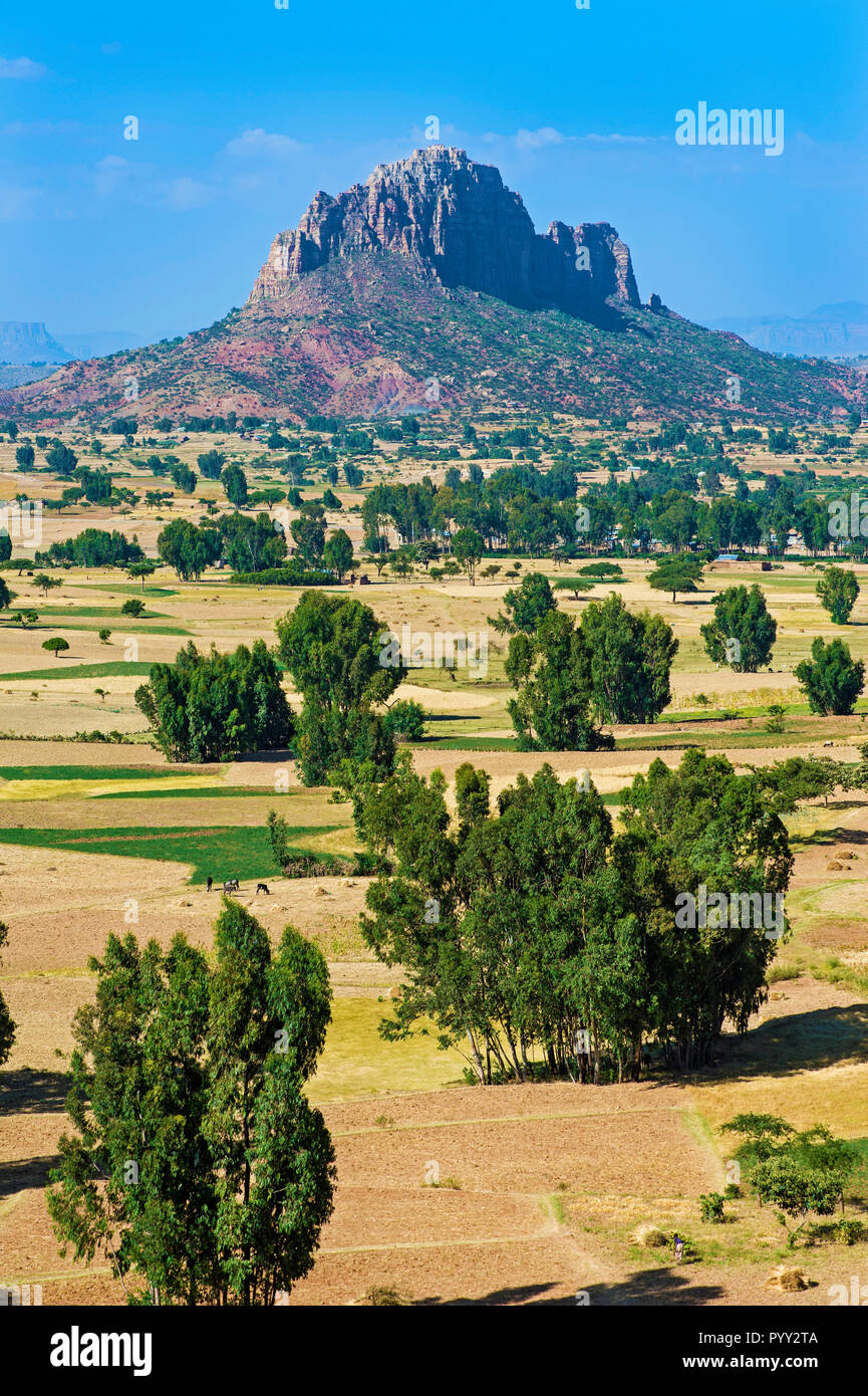 Hawzien Ebene mit Gheralta Gebirge, Hawzien, Tigray, Äthiopien Stockfoto