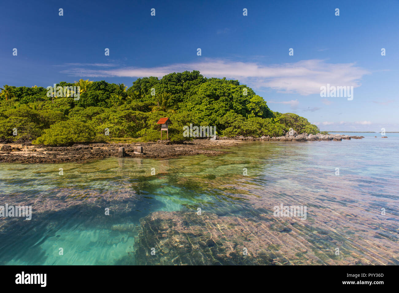 Klares Wasser, Tikehau, Tuamotu Archipel, Französisch Polynesien Stockfoto