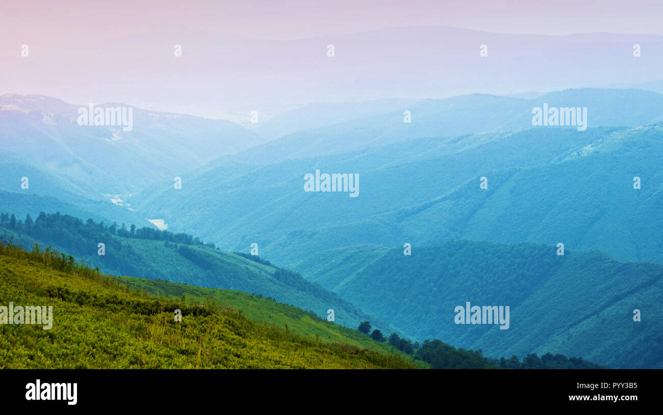 Panorama auf das Tal unter majestätischen grüne Hügel und Hänge in Grün üppigen Gras bedeckt und Kiefernwald. Bewölkt bewölkten Tag im Frühling. Borz Stockfoto