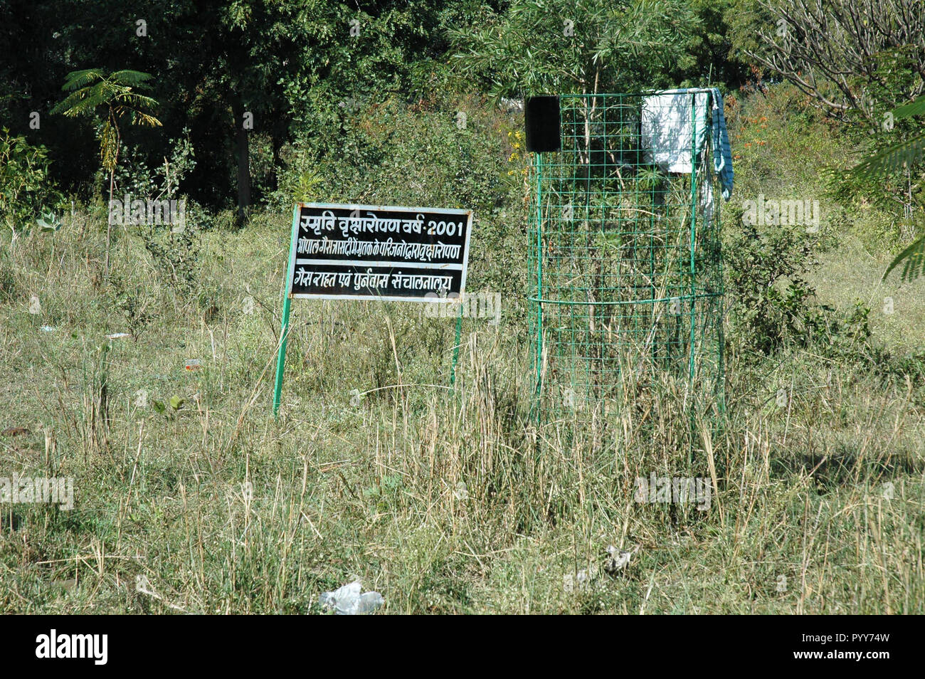 Garden, Union Carbide Gas Leak Tragedy, Bhopal, Madhya Pradesh, Indien, Asien Stockfoto