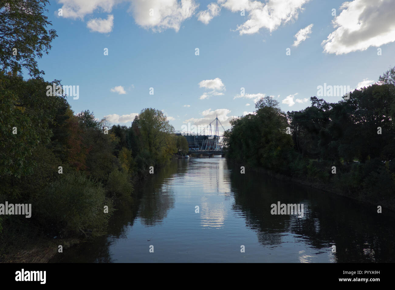 Millennium Stadium vom Fluss Taff in Bute Park Cardiff Wales Stockfoto