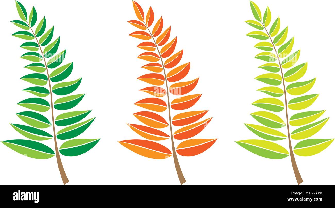 Der Vektor verzweigt. Hand gezeichnet Zweige mit Blättern auf weißem Hintergrund. design Elements verlässt Dekoration. logo Icon Stock Vektor