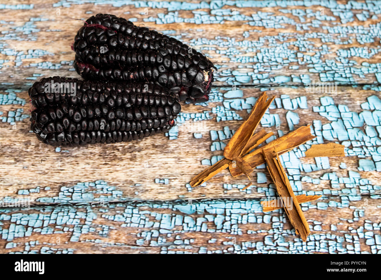 Blick auf lila Mais culli, Zea Mays Stockfoto