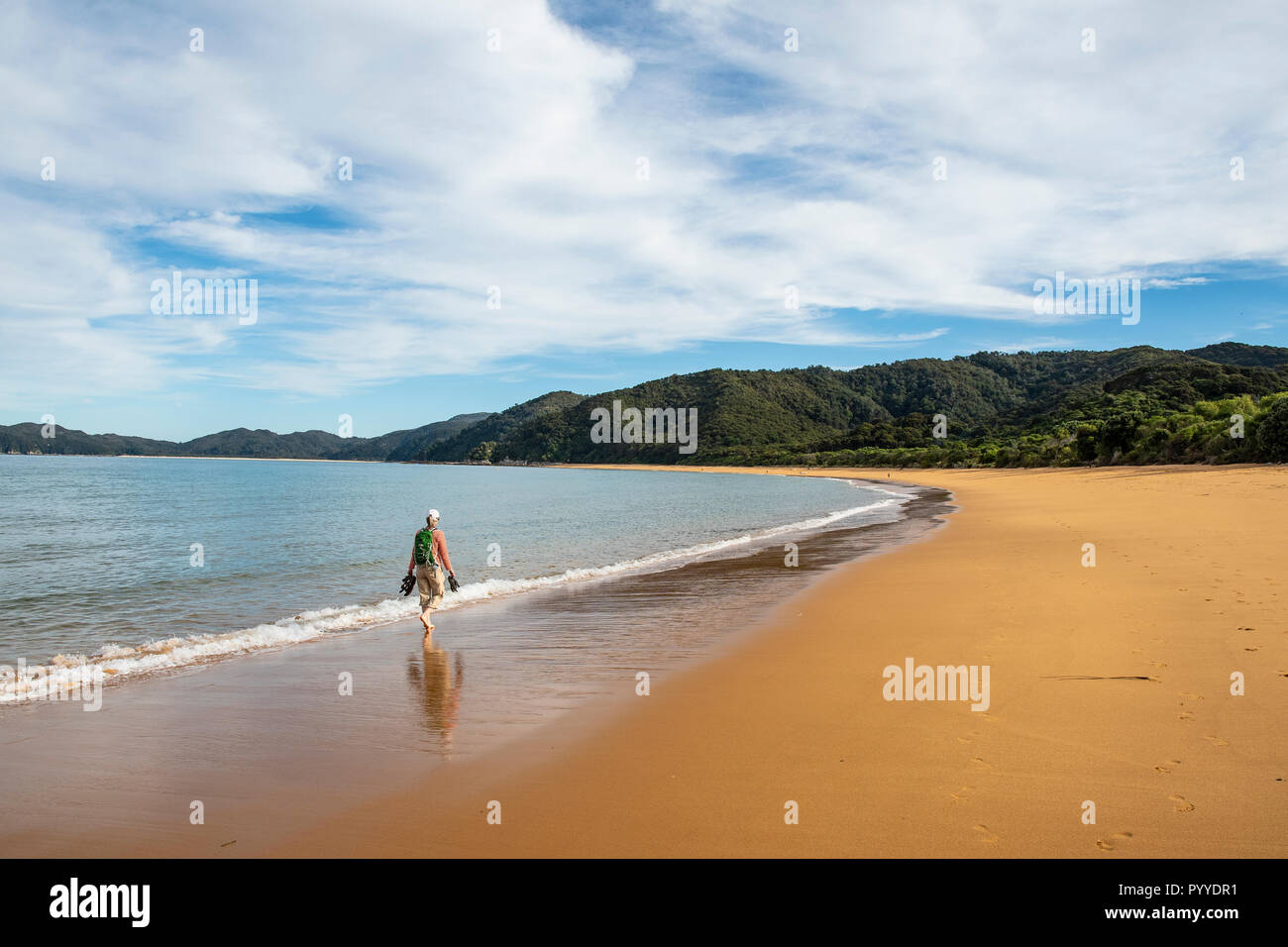 Die schönen Strände des Abel Tasman National Park Stockfoto