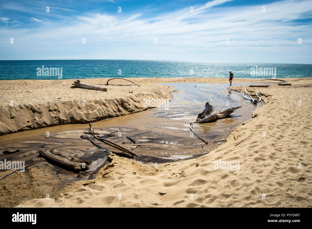 Die schönen Strände des Abel Tasman National Park Stockfoto