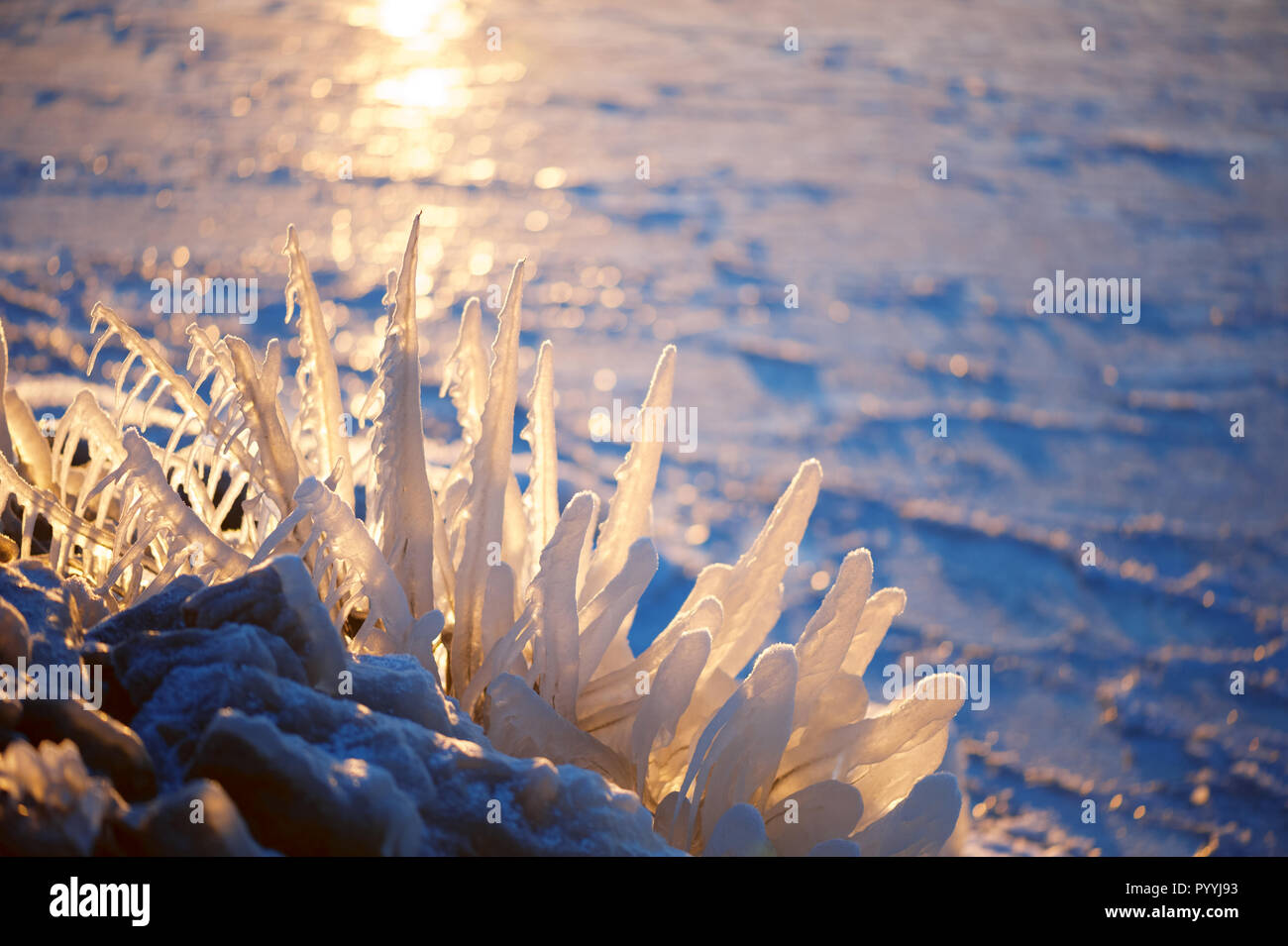 Eiszapfen leuchten durch die Wintersonne Stockfoto