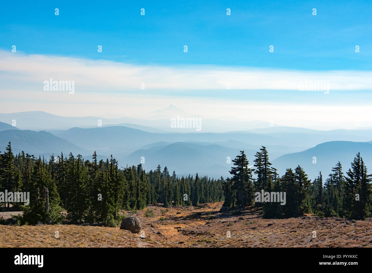 Mount Jefferson Peak Blick vom Mount Hood, Oregon, USA Stockfoto