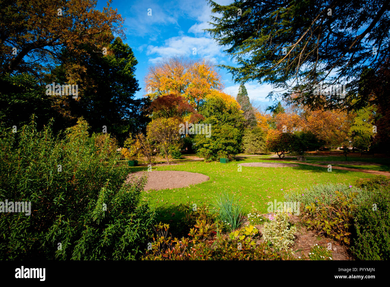 Cook Park ist 4,5 ha großen Parkanlage im Herzen von Orange. Gebaut neben Sommer Straße, der Park verkörpert die saisonalen Farben von Orange. Stockfoto