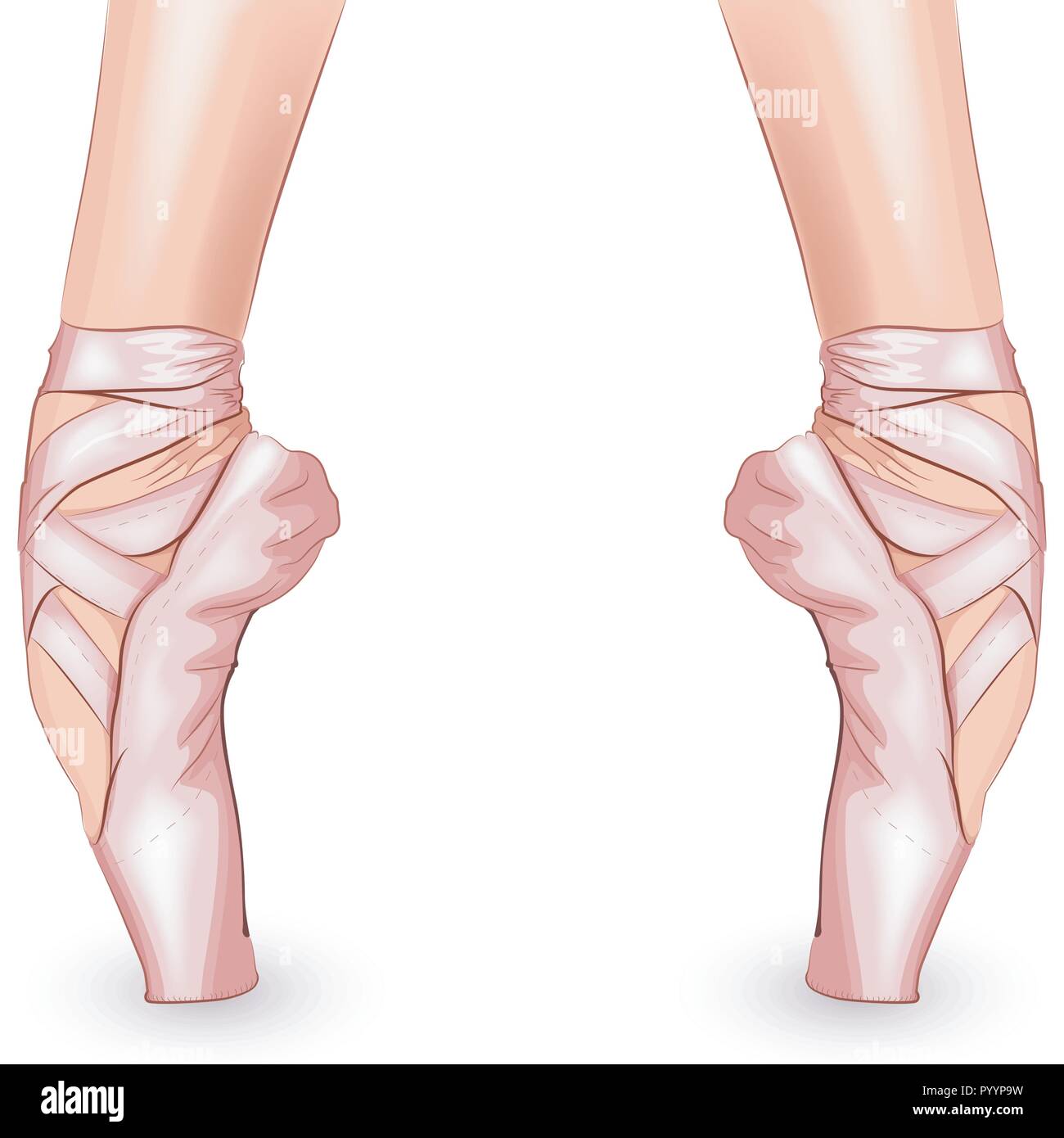 Frau Ballerina Tänzer Fuß Füße Stock-Vektorgrafiken kaufen - Alamy