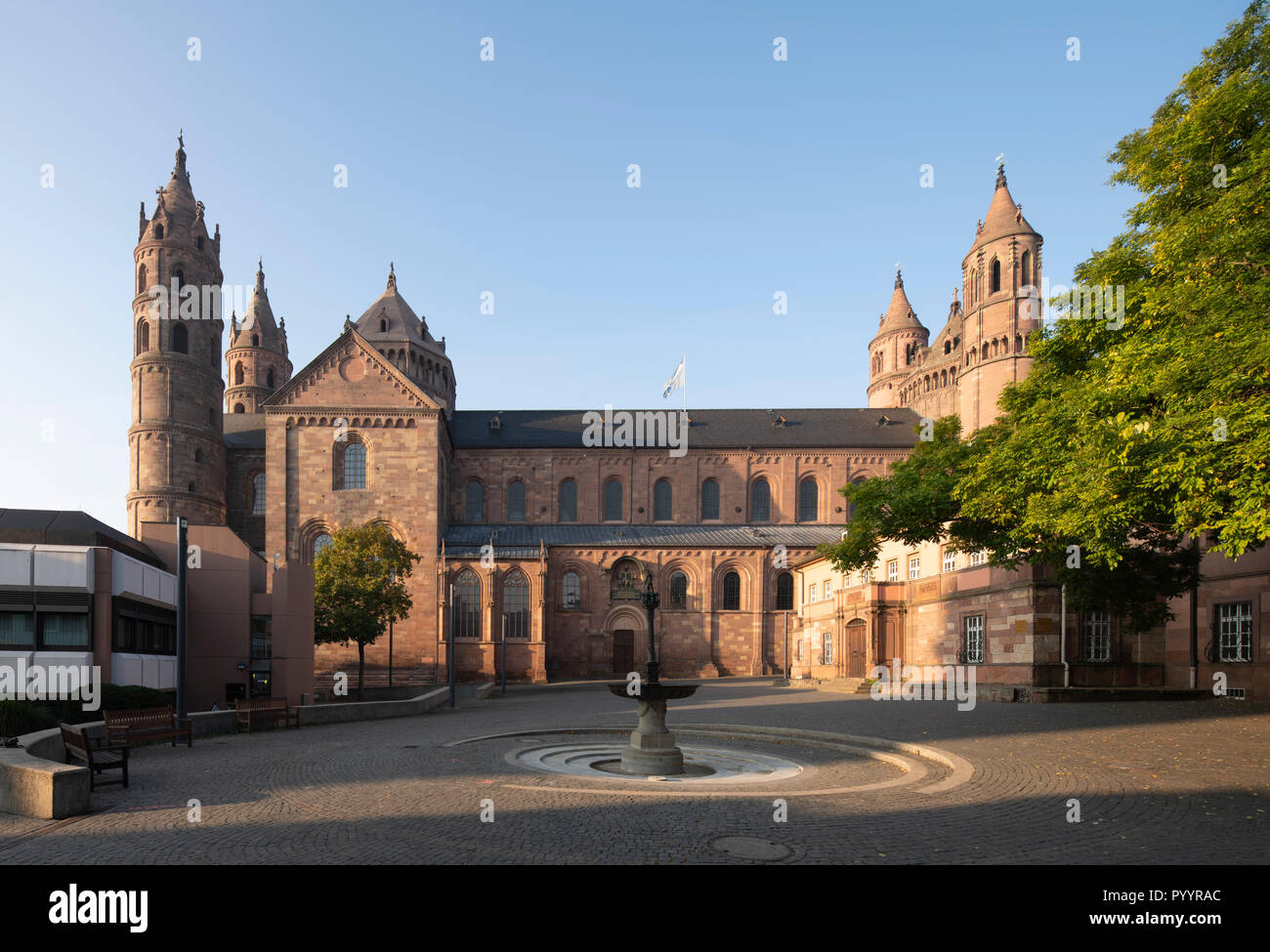 Worms, Dom St. Peter, Nordseite Stockfoto