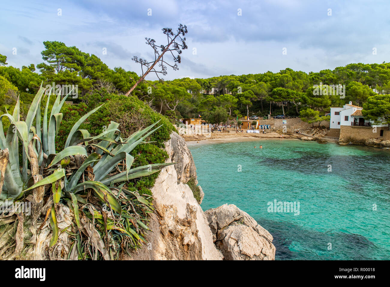 Cala Gat, den Strand und die Bucht von Cala Ratjada, Capdepera, Mallorca, Balearen, Spanien Stockfoto